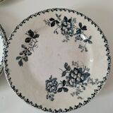 Set of 10 ironstone plates Moulin des Loups Acacia