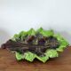 Vintage fruit tray