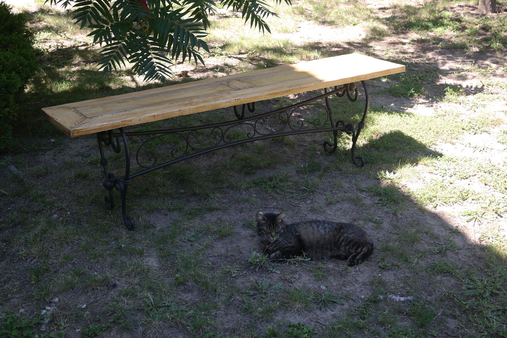 Pairs of benches in light wood and tubular metal