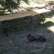 Pairs of benches in light wood and tubular metal