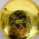 Cup and 8 Inalta France dessert cups in gold metal