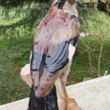 Porcelain bird