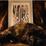 Planche vintage originale sur les plumes
