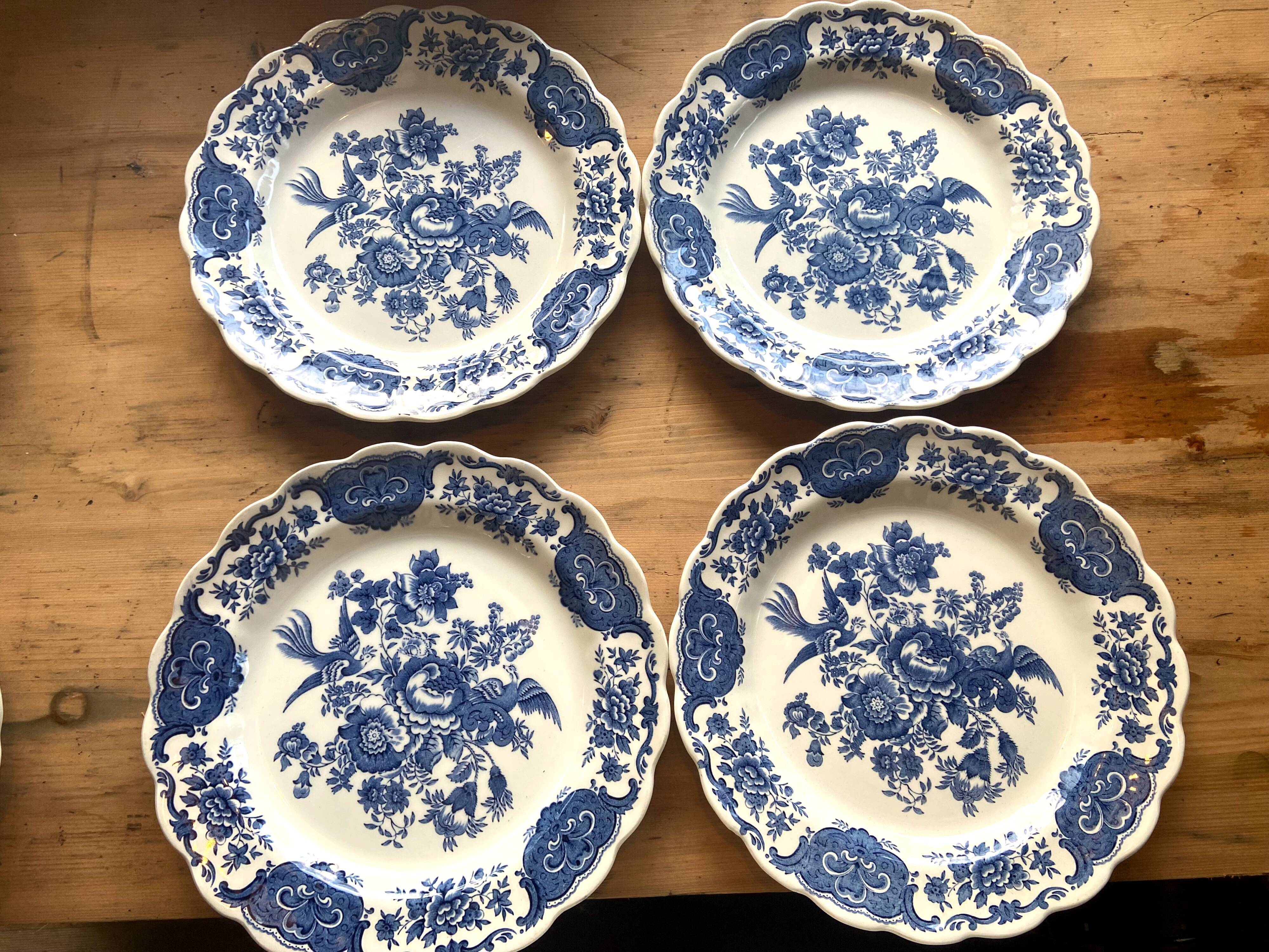 24 windsor english porcelain plates