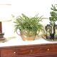 Bronze planter