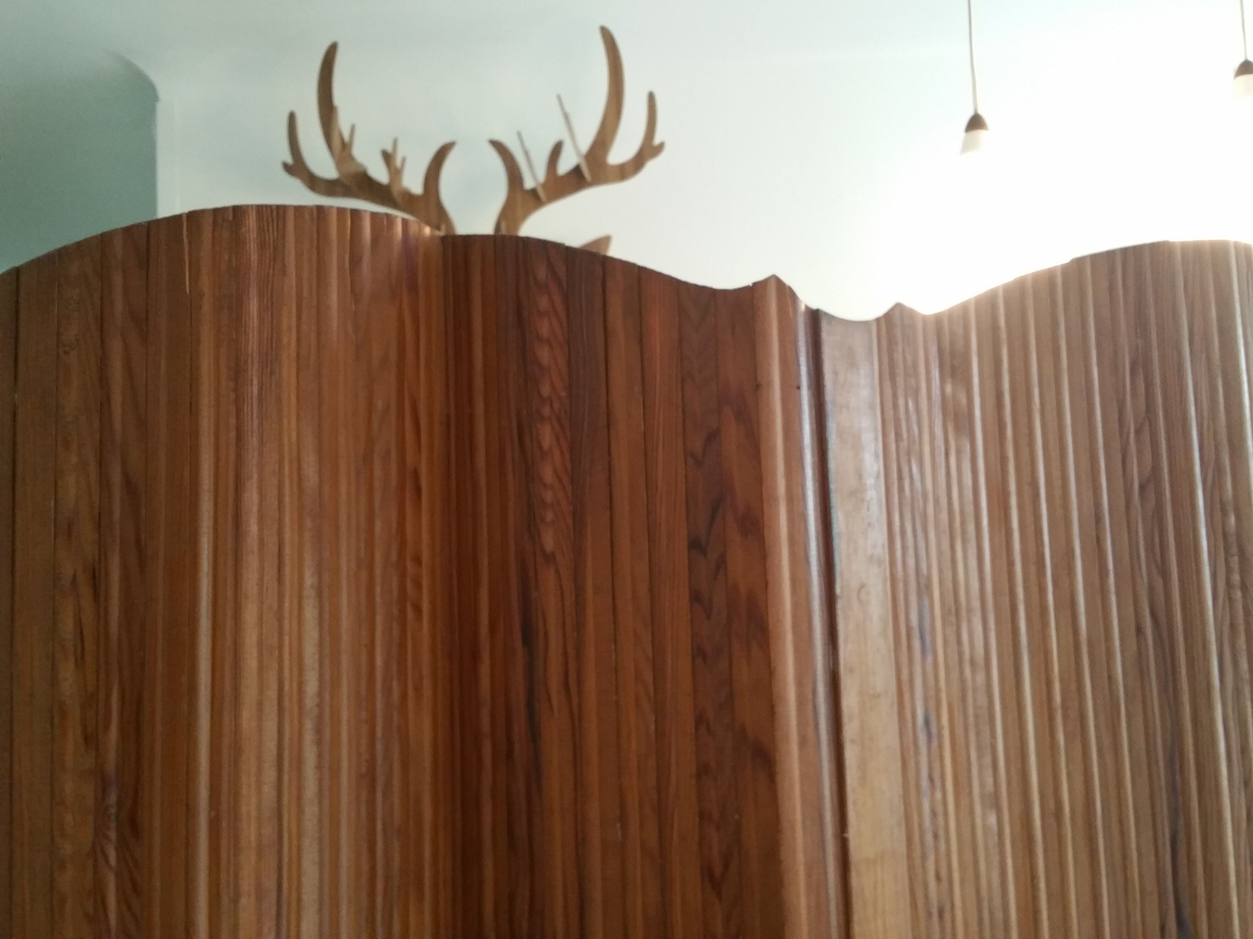 Screen the 1950s NSH