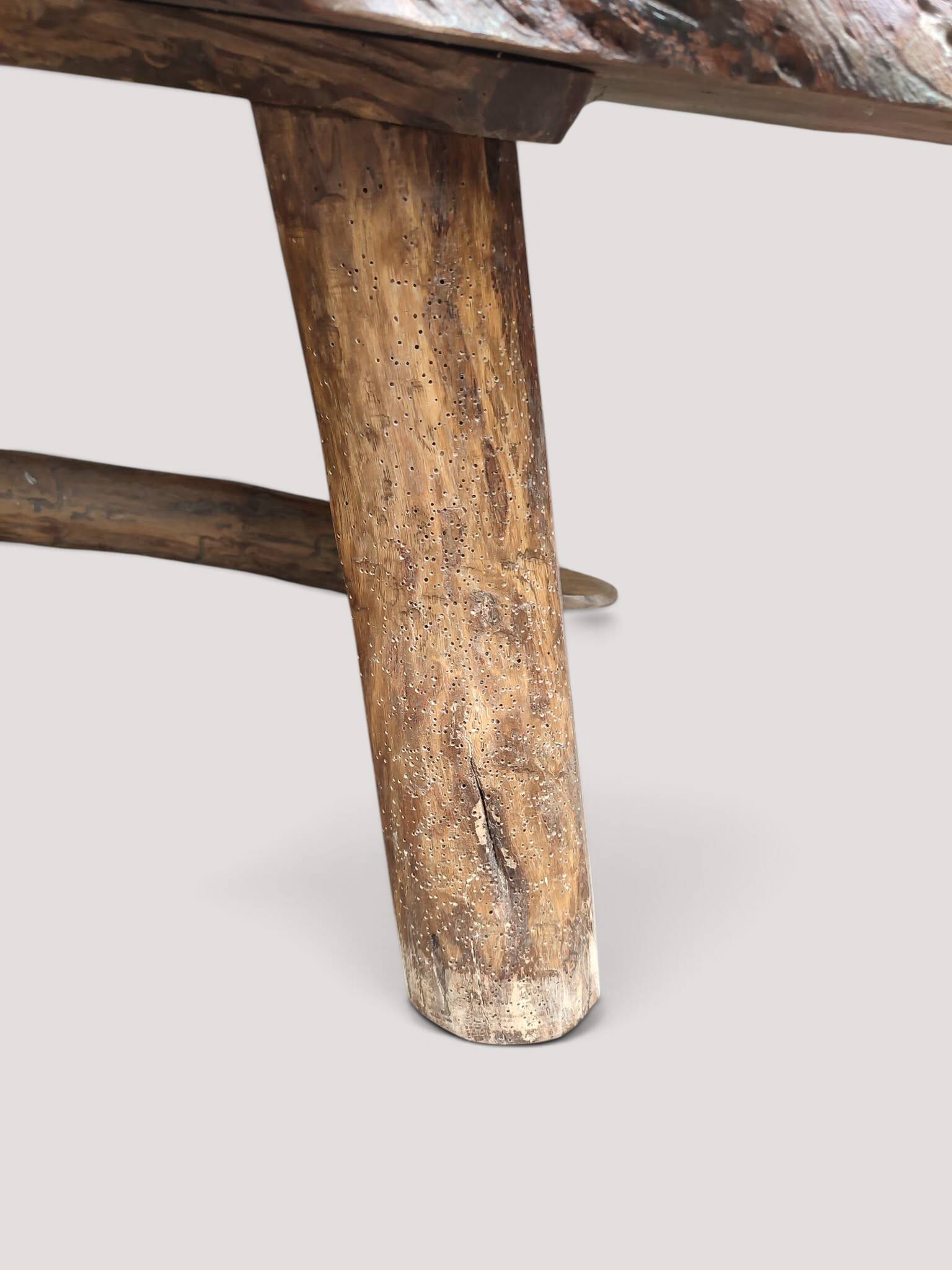 Solid wood coffee table - Section/cross-section of a century-old tree.