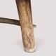 Solid wood coffee table - Section/cross-section of a century-old tree.