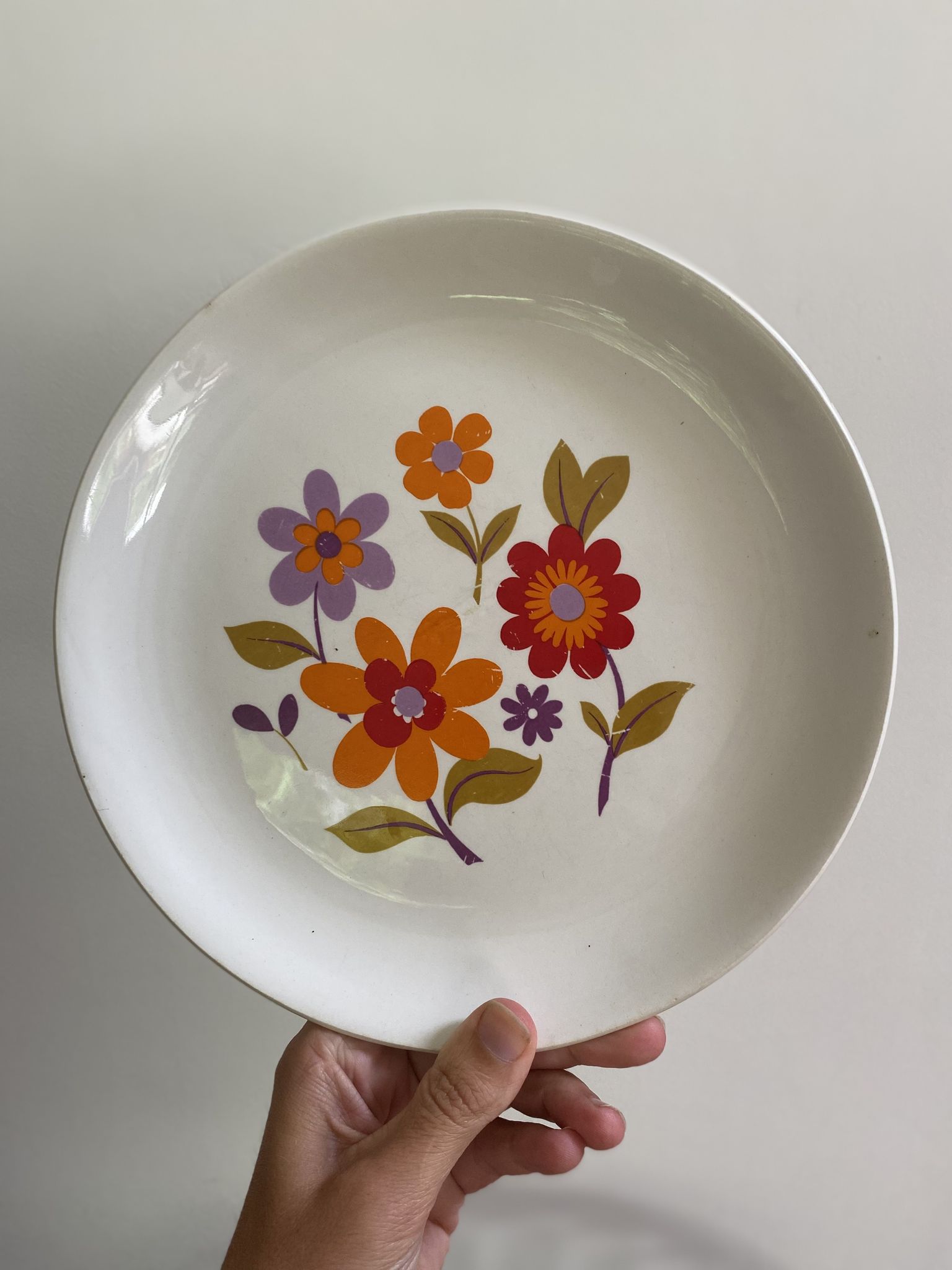 6 old flat plates in French earthenware Moulin des loups