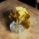 Pique fleurs 9 trous soliflores
