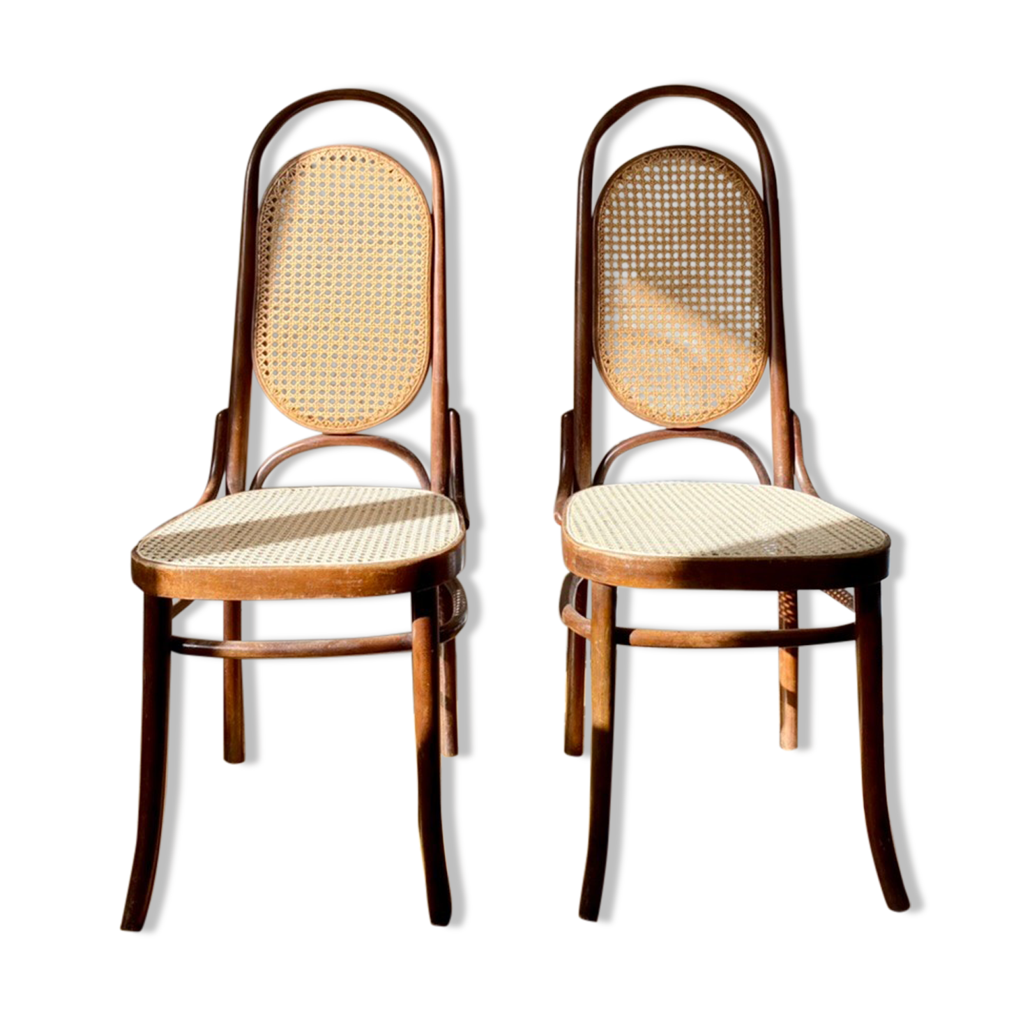 Pair of chairs Thonet 17 reissue FMG