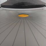 Suspension Stefano Cevoli