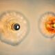 Pair of round wall lights by Murano Mazzega in frosted glass, Italy, 1970