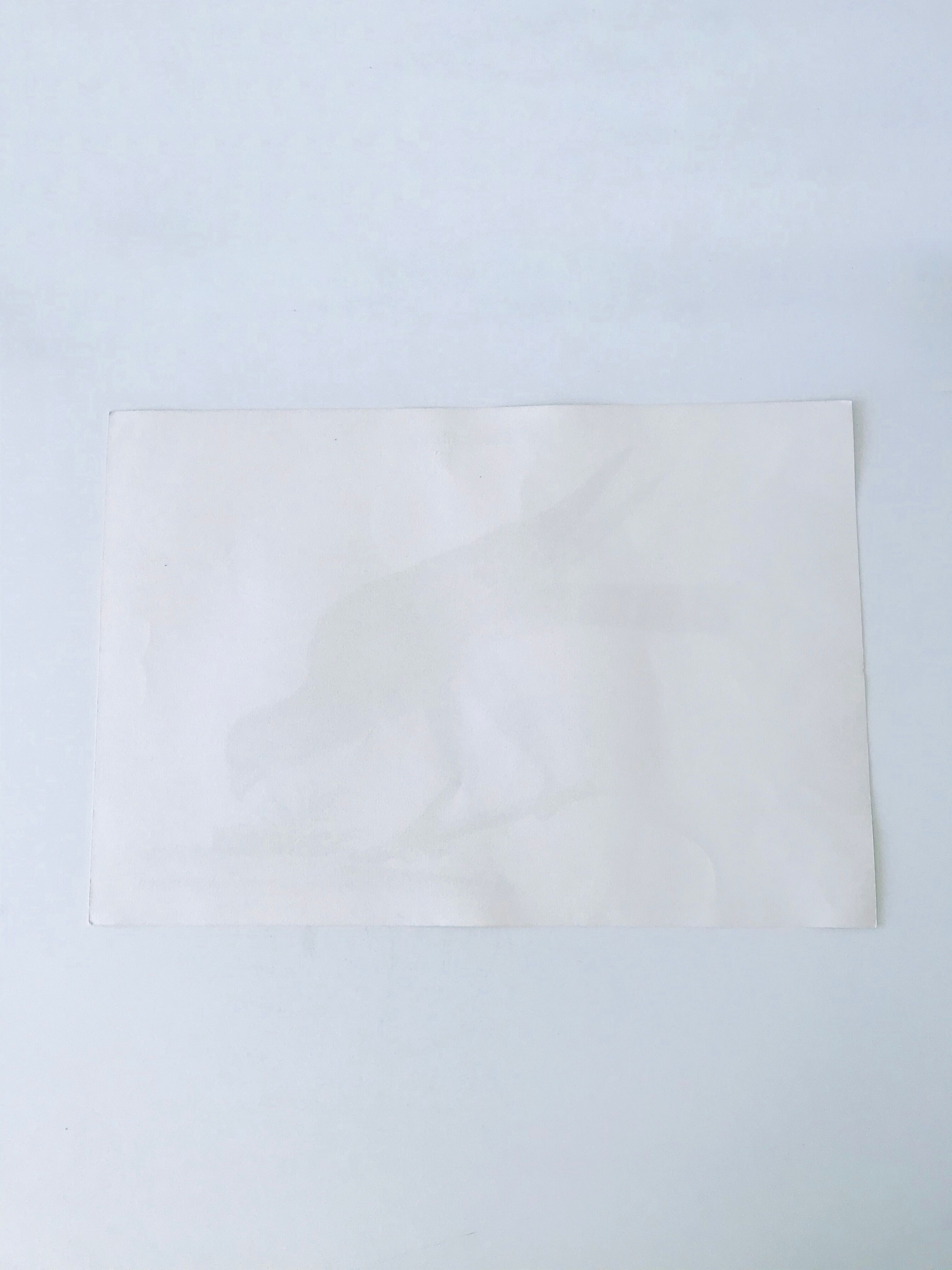 Ornithological board