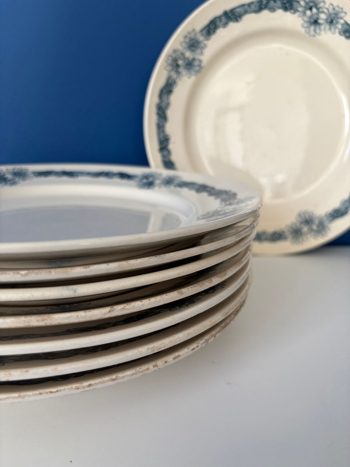 Set of 8 flat plates in Longchamp ironstone model Denise.