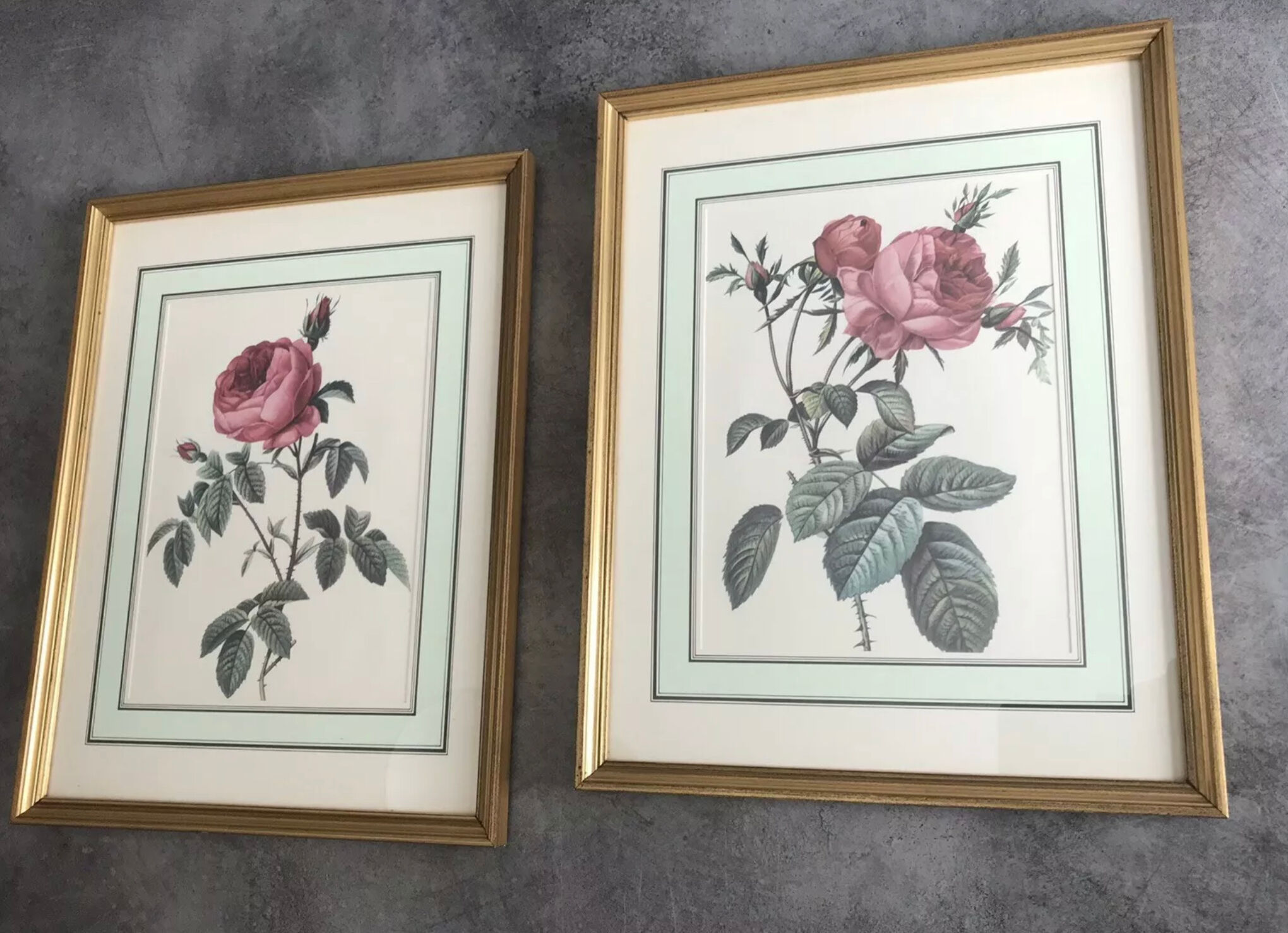 Set of 2 framed paintings botanical engraving rose coaster