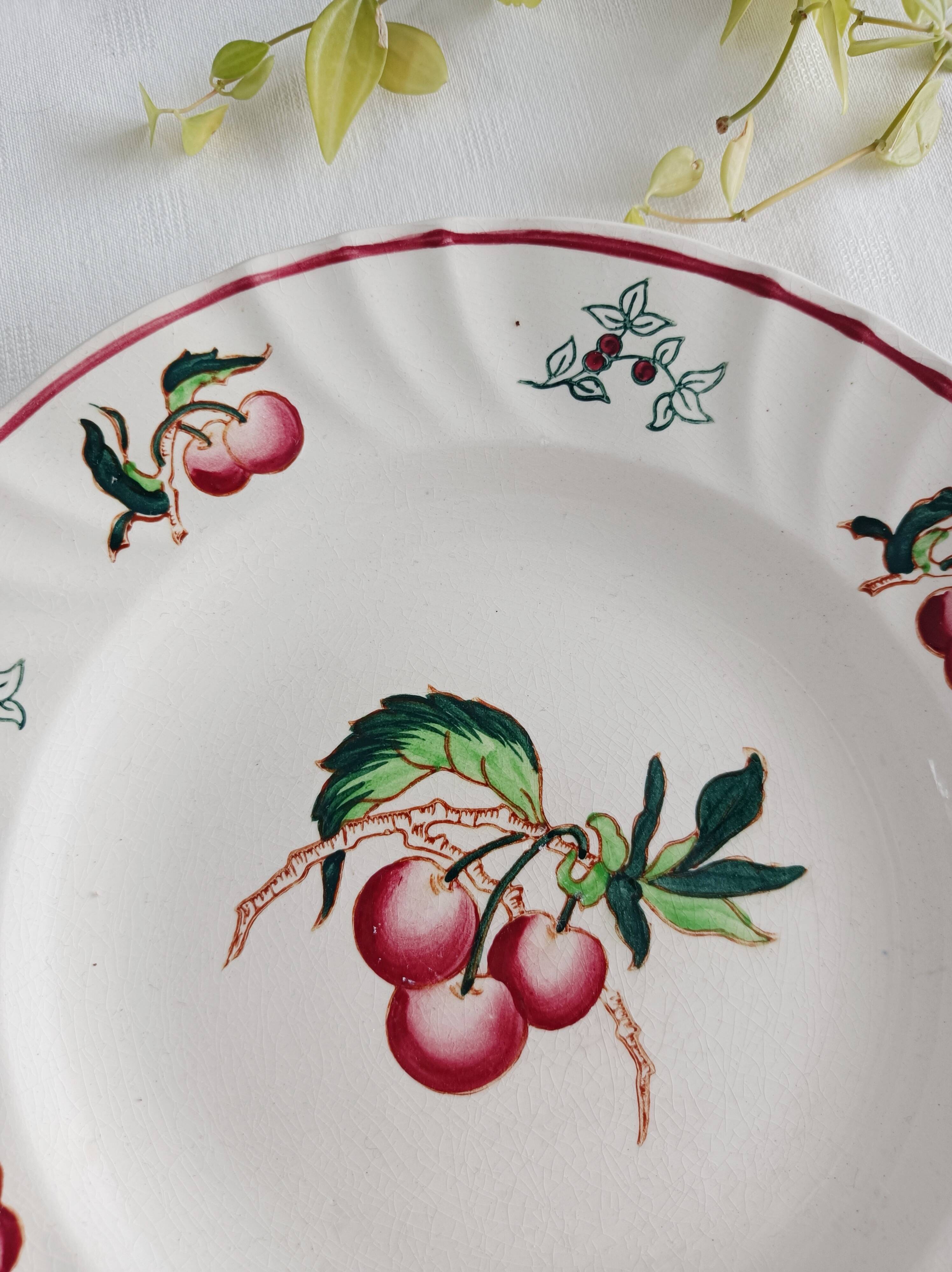 Set of 2 Longwy Montmorency flat plates