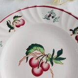 Set of 2 Longwy Montmorency flat plates