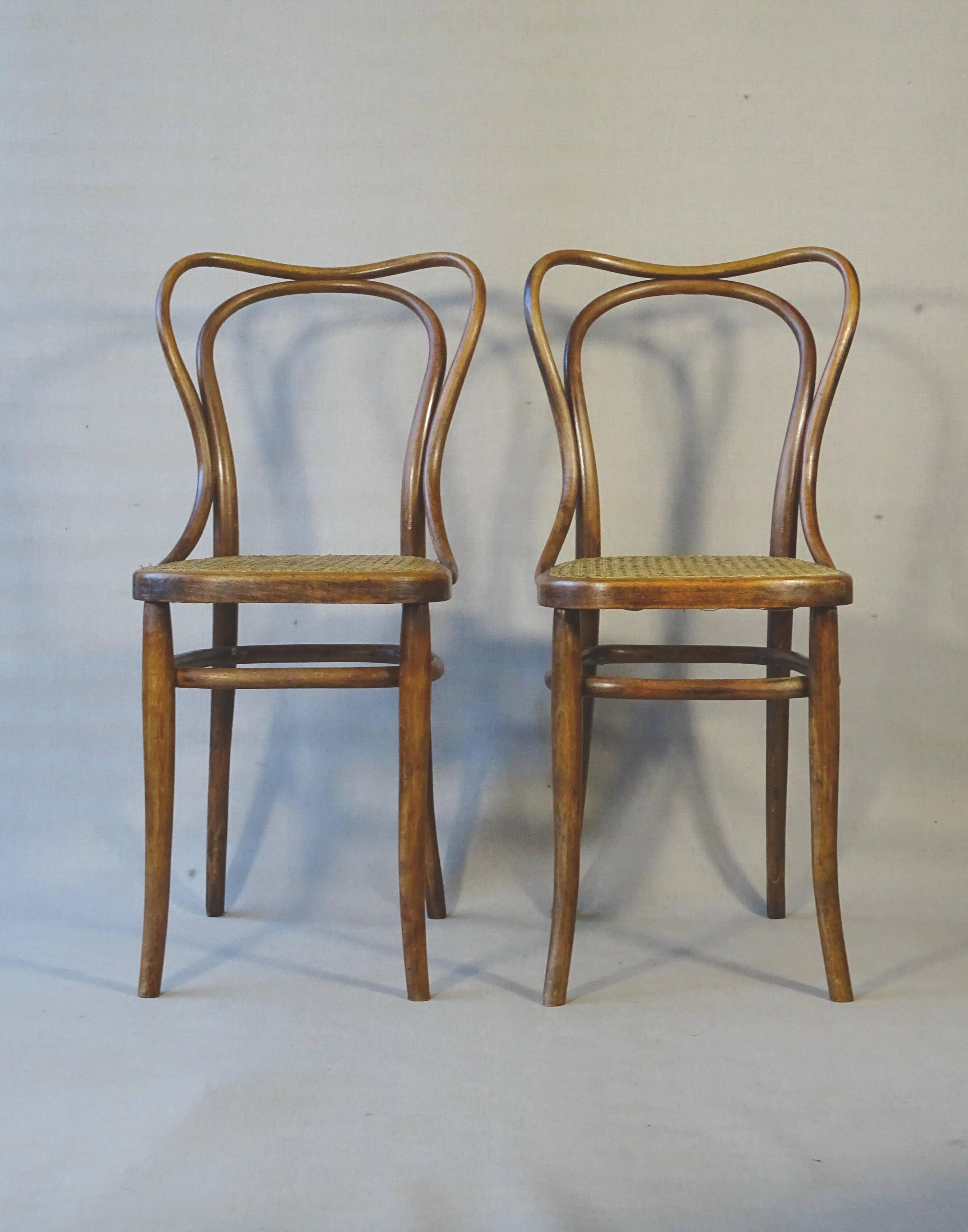 2 Bistro chairs No. 55- 3/4 by Kohn, circa 1905, caned