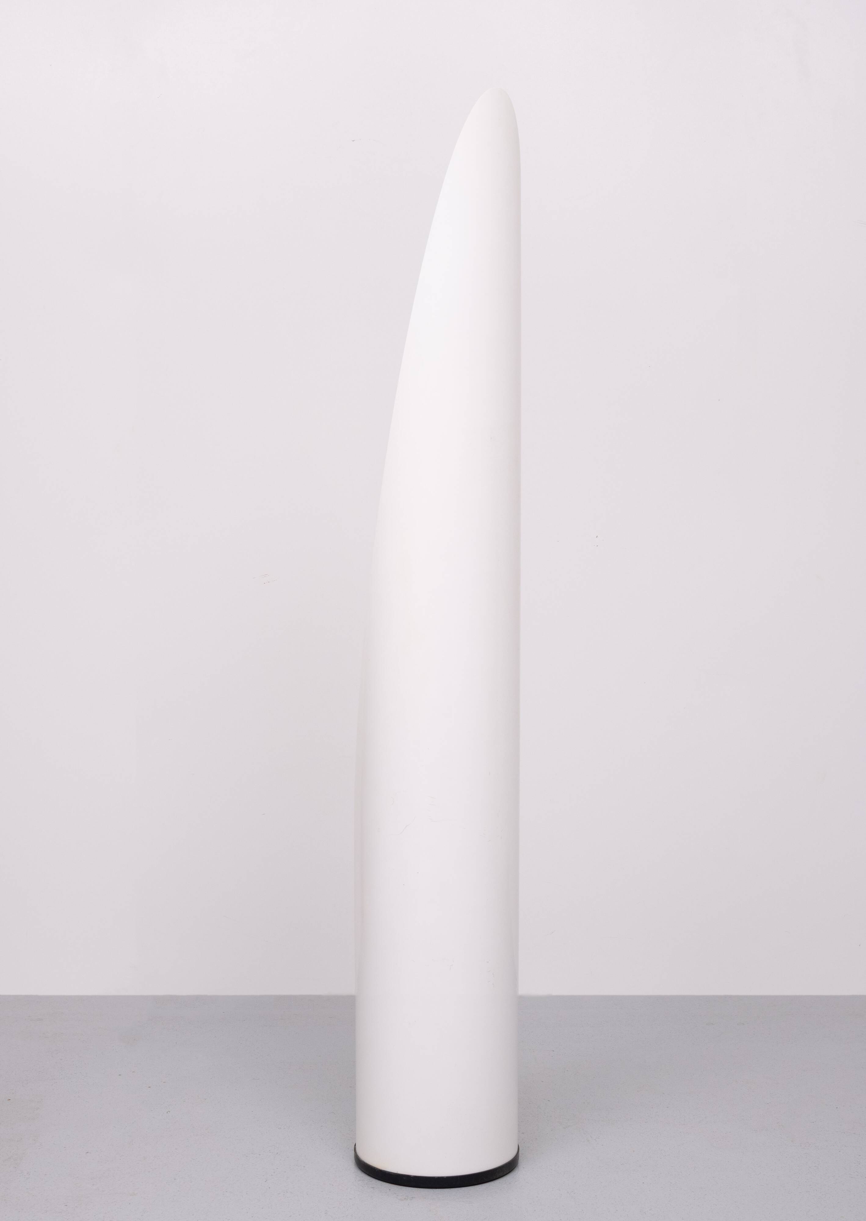 Miroir à rouge à lèvres Unghia Miroir pleine longueur Space Age années 1970