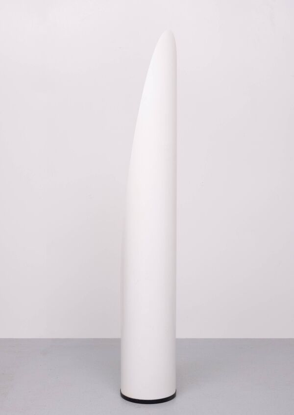 Miroir à rouge à lèvres Unghia Miroir pleine longueur Space Age années 1970