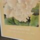 Poster "Begonia" – Bukovnik – Dryden Gallery, New York – 1988