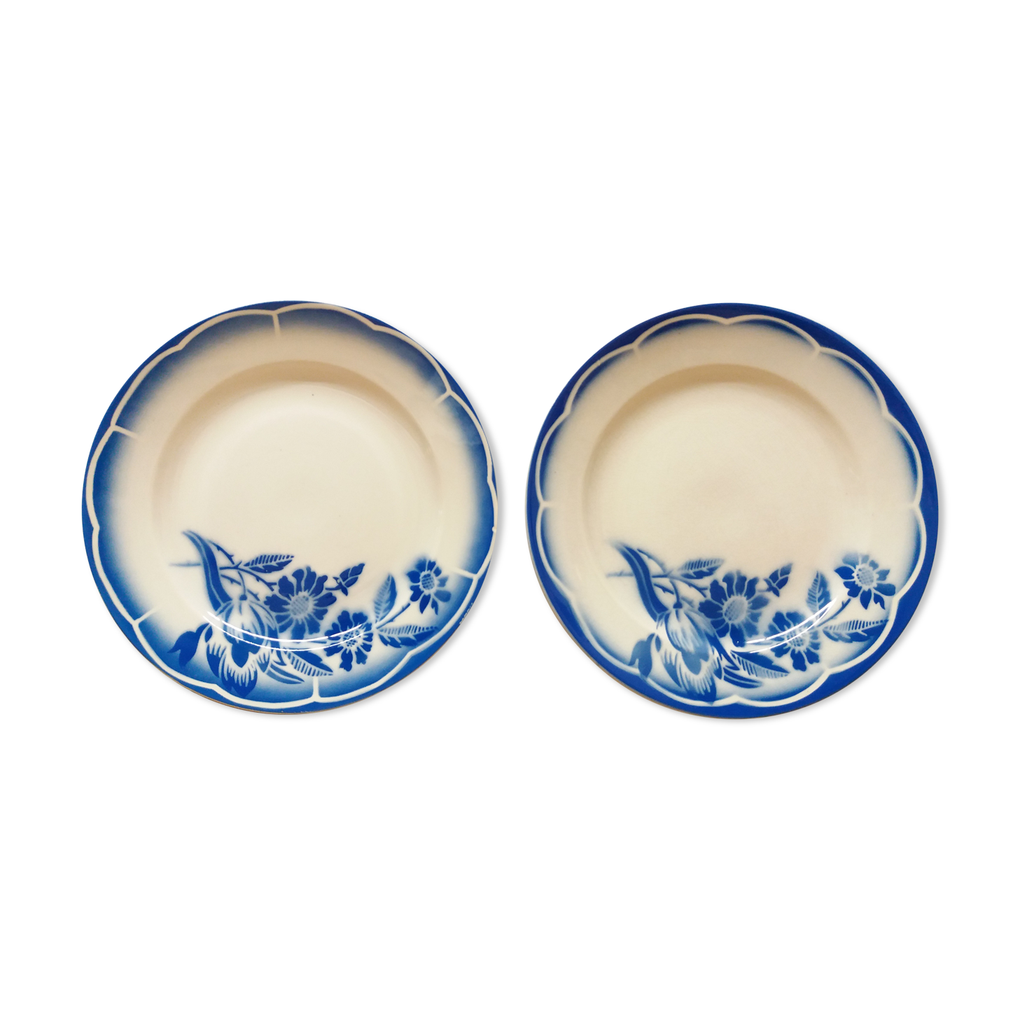 Pair plates flat blue flowers