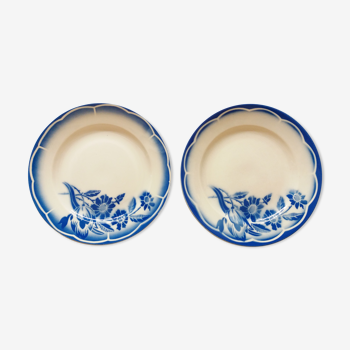 Paire assiettes plates fleurs bleues