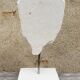 Young girl's head in plaster