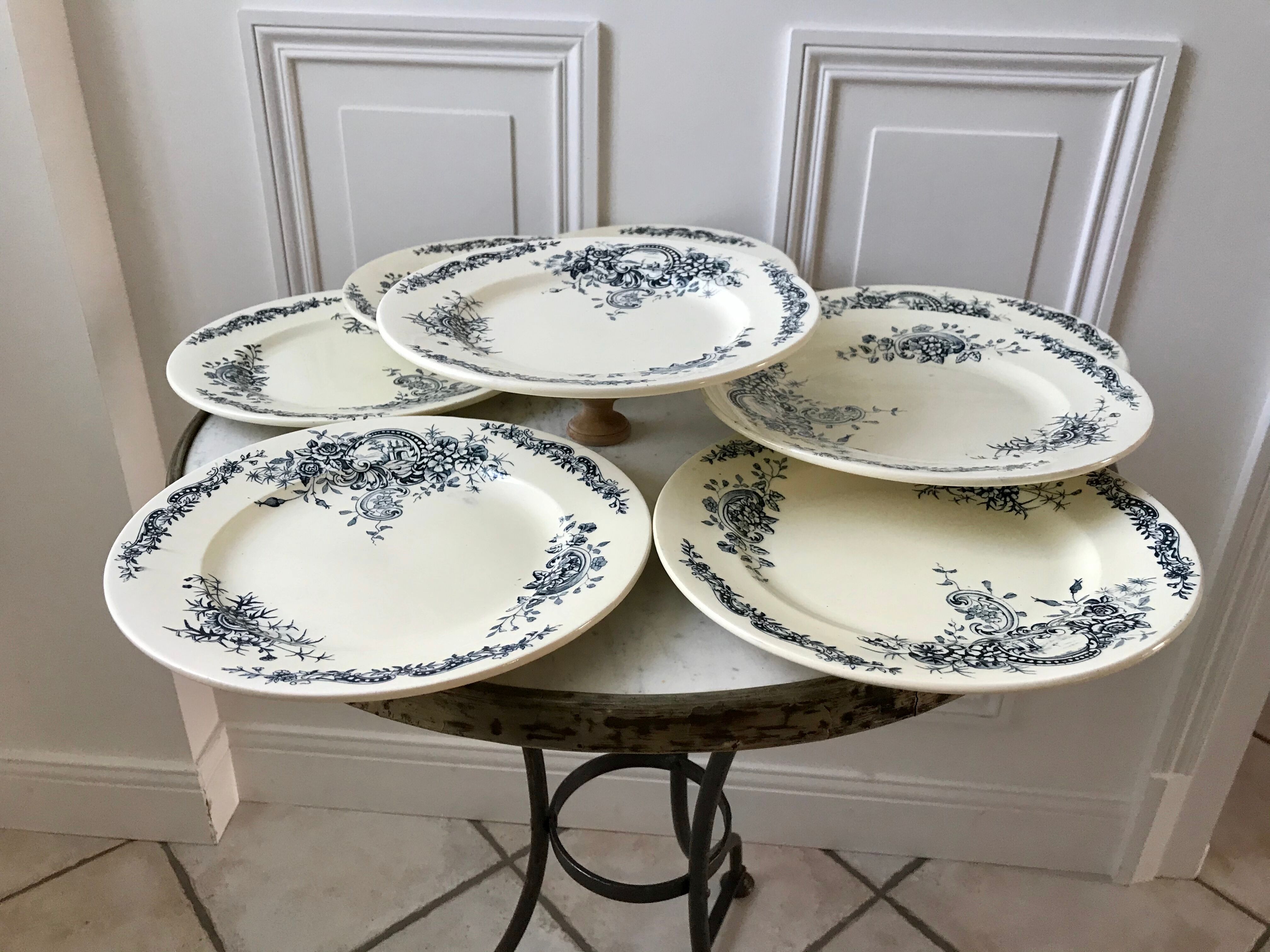 Set of 8 flat plates Terre de Fer Salins model "Rocailles" late nineteenth