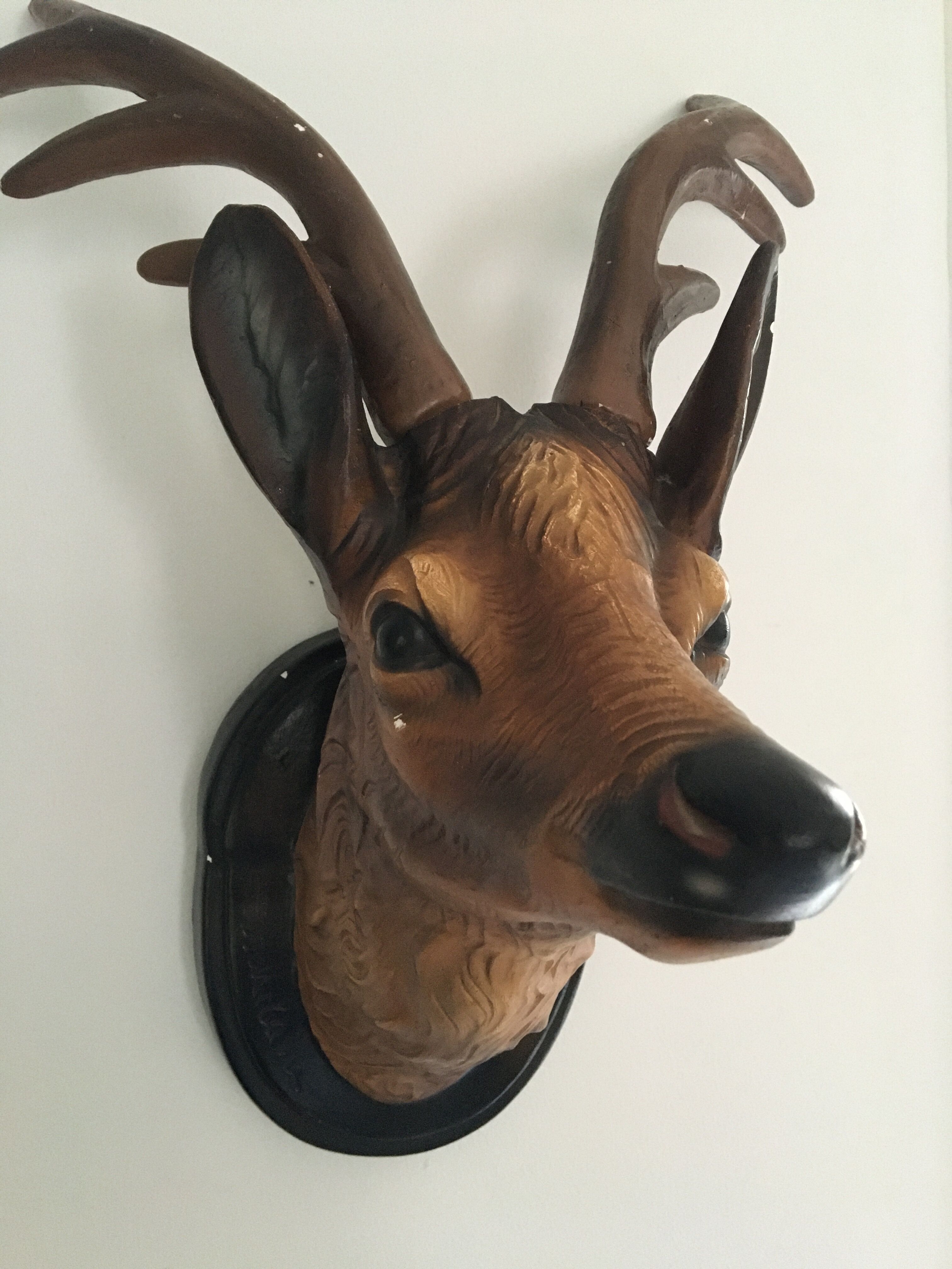 Animal deer head trophy