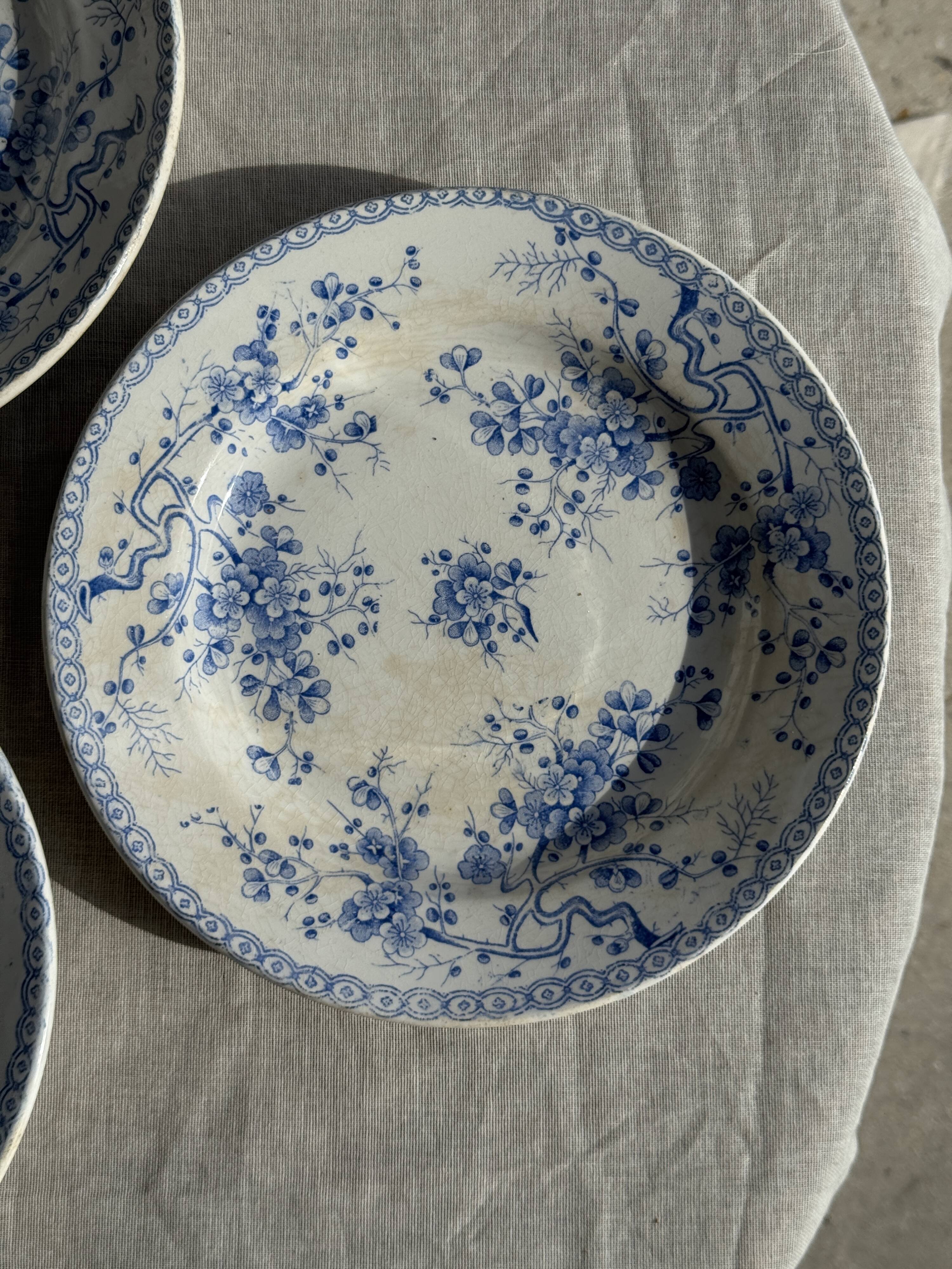Set of 3 blue plates from Gien pottery, Fleurette model, D22.5.