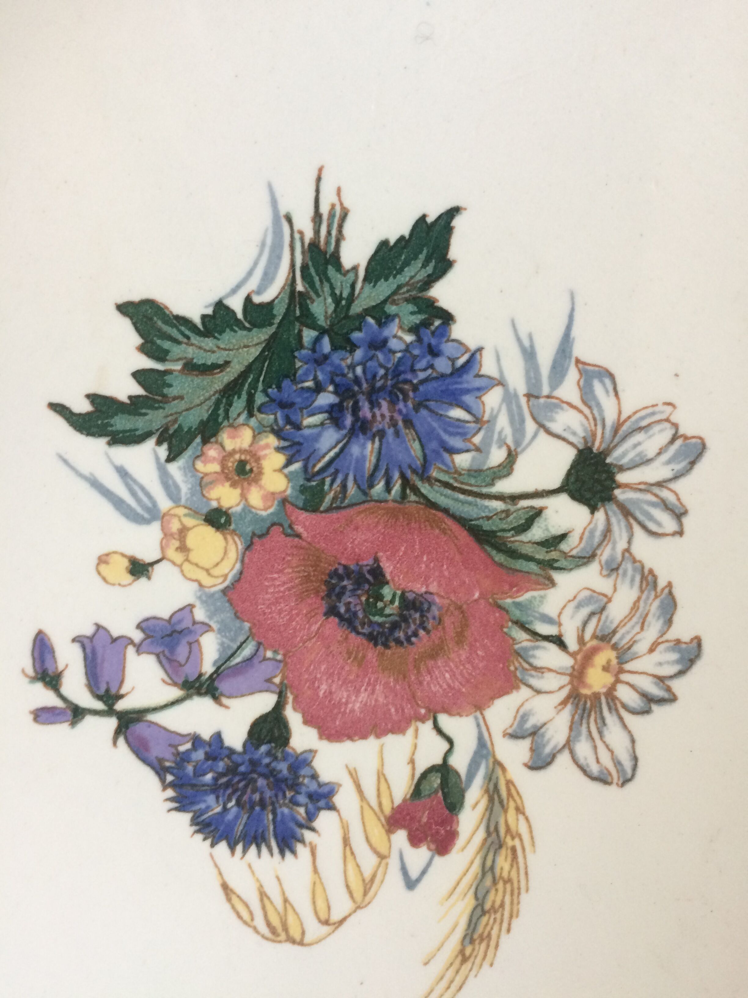 Service dish Agreste Sarreguemines