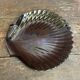 Set of 10 ARCOROC Shell-Shaped Plates Black Opaline 1970s