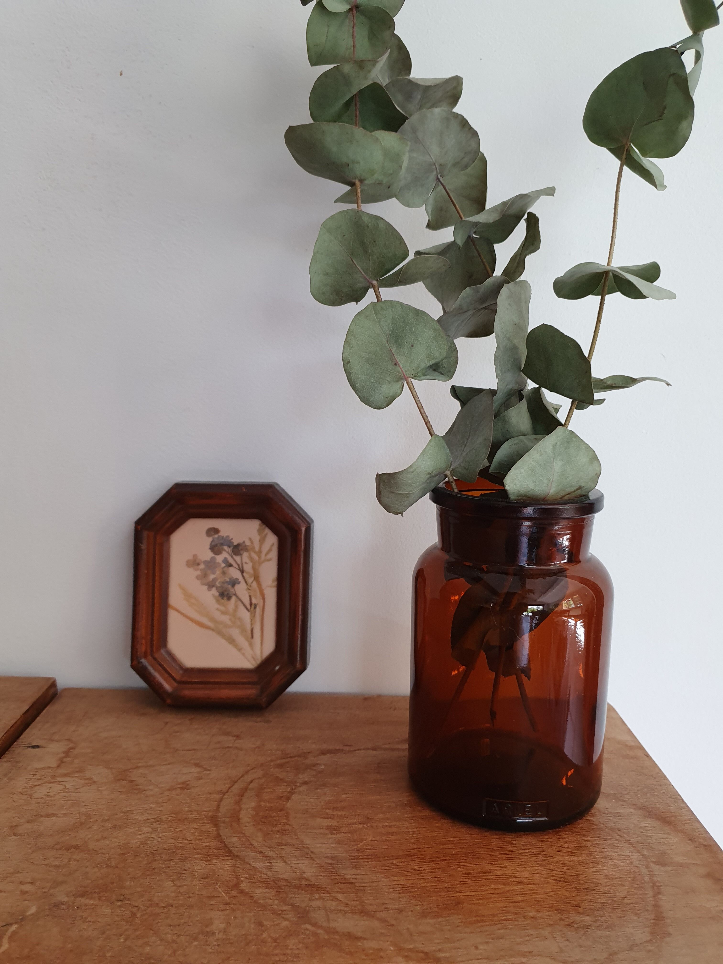 Small herbarium under frame