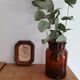 Small herbarium under frame