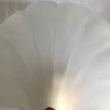 Pair of shell sconces