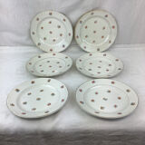 6 dessert plates made in france digoin