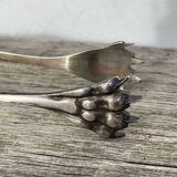 Silver-plated metal sugar tongs