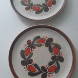 Schramberger Plates