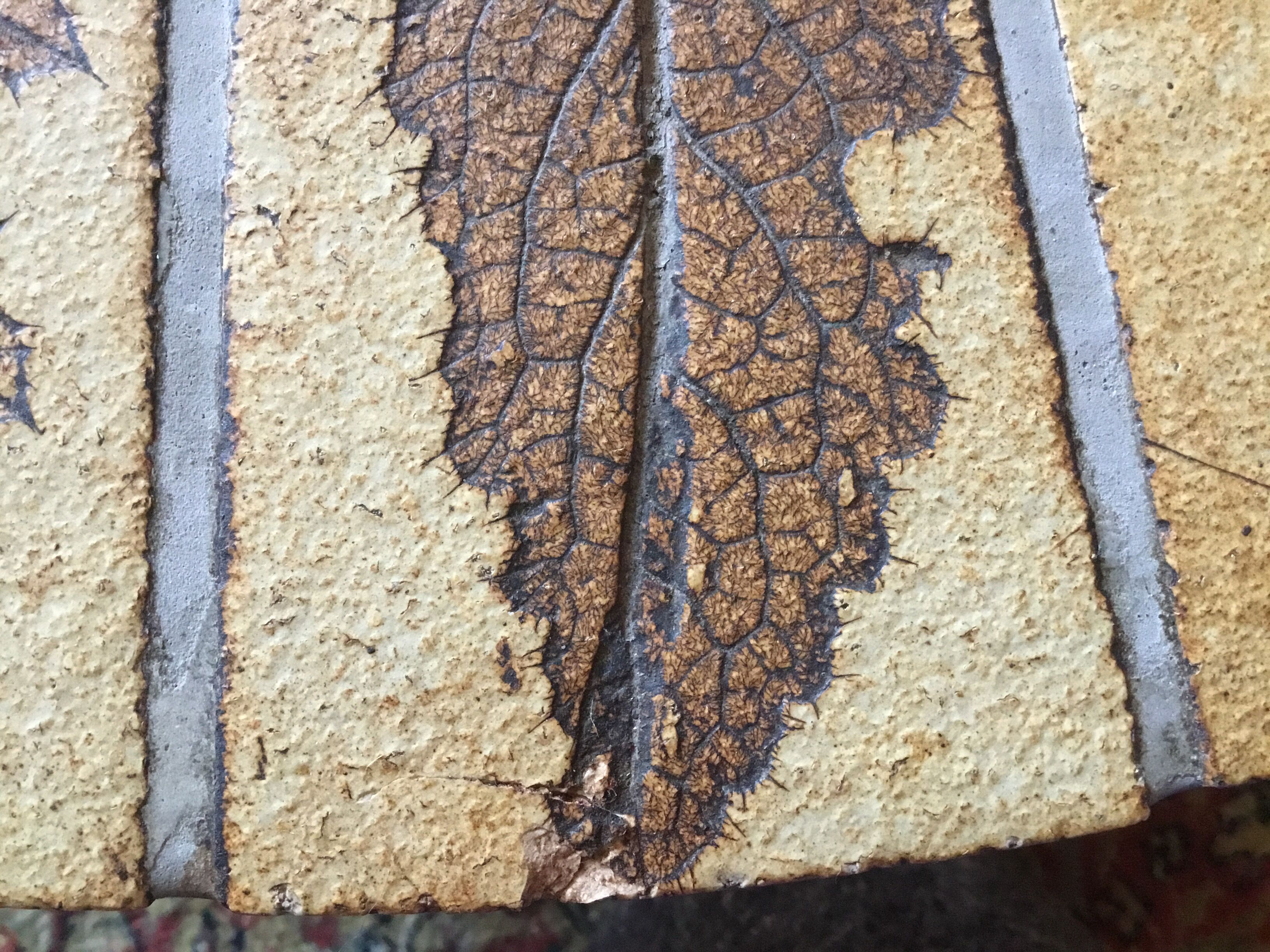 Roger Capron coffee table