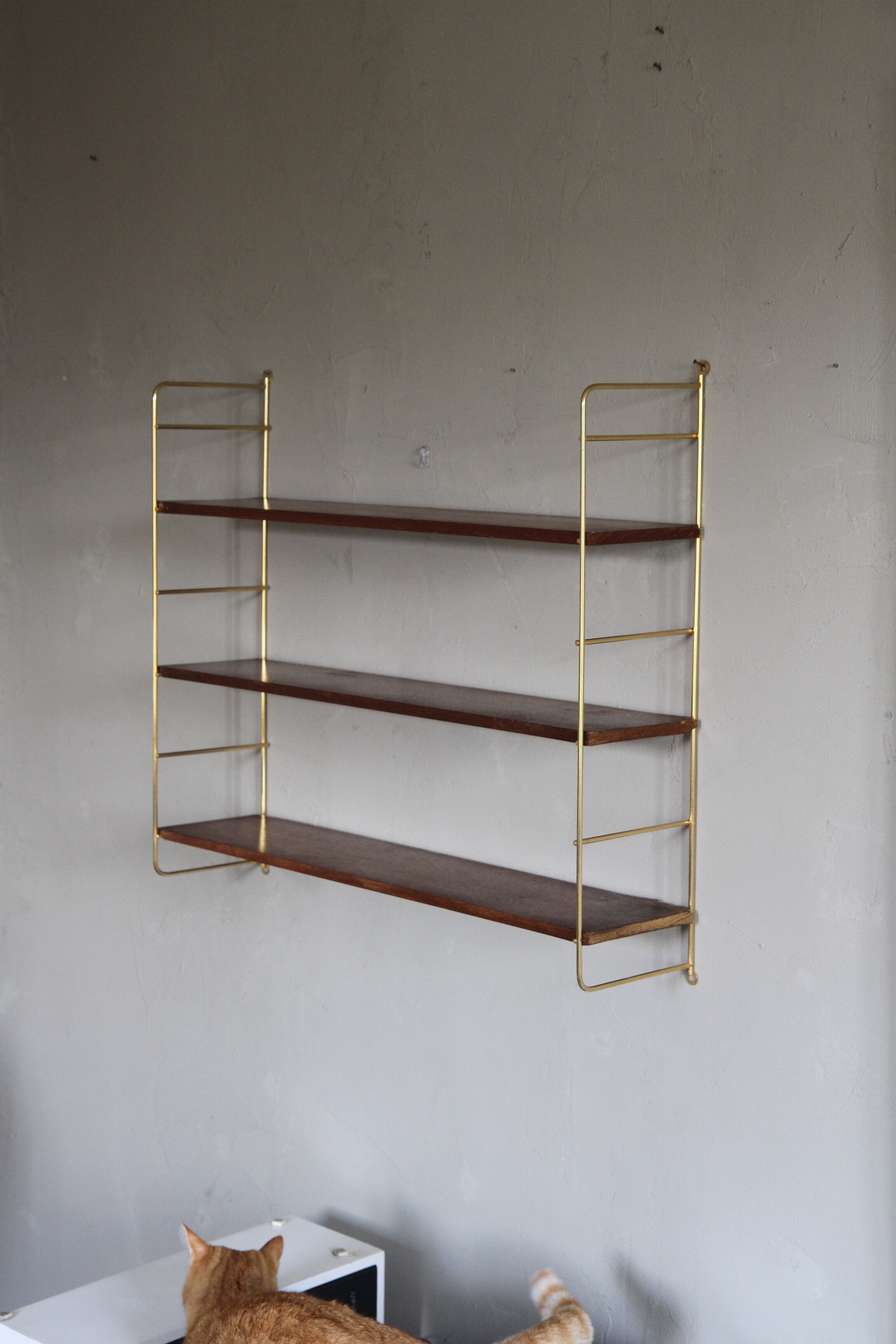 Shelving by Kajsa & Nils Strinning for thong, Sweden 1950