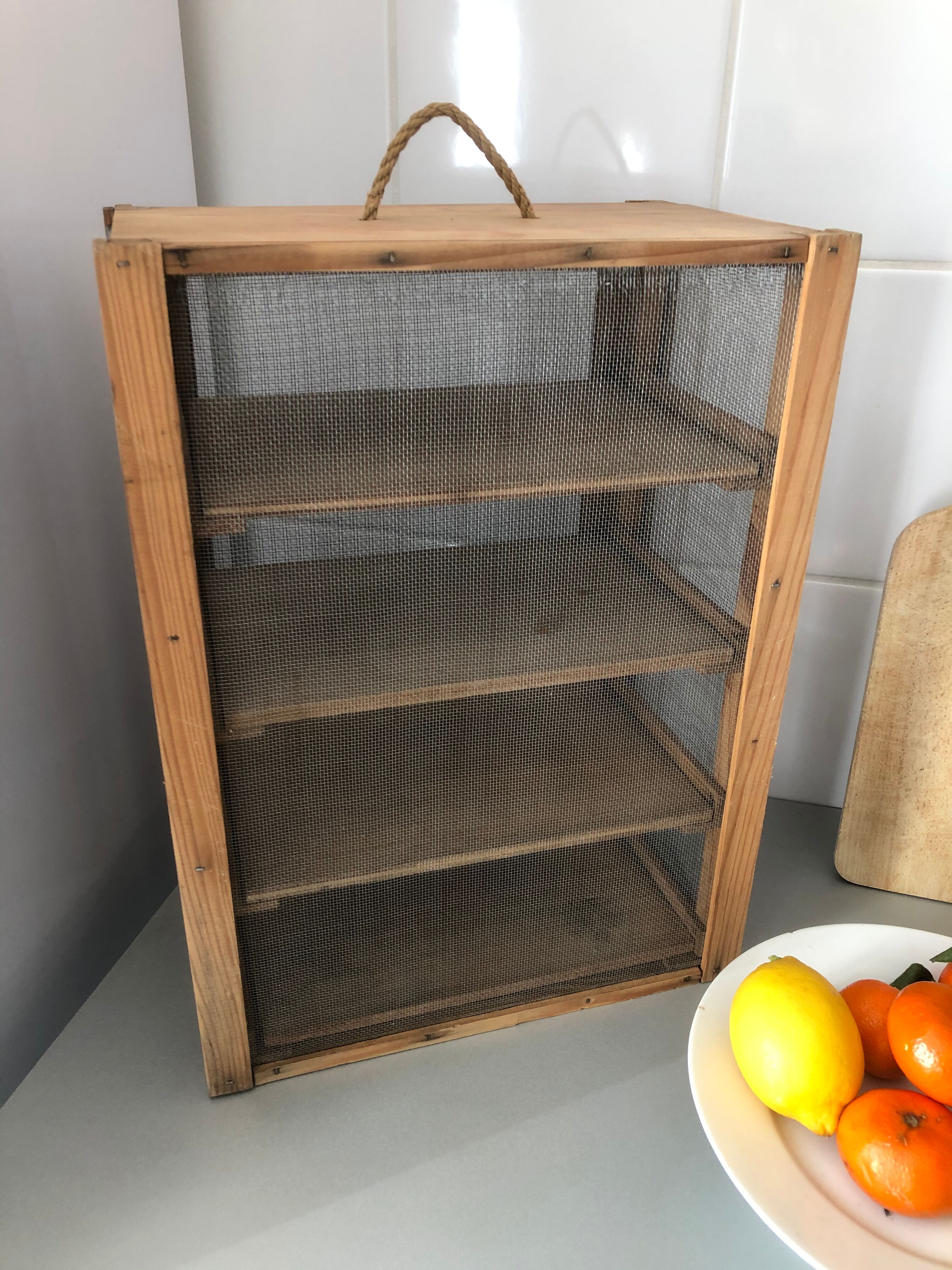 Old wood eating wareat