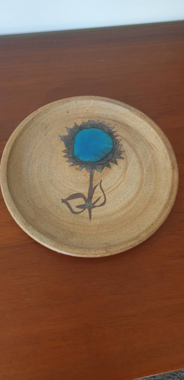 Enameled pottery plate