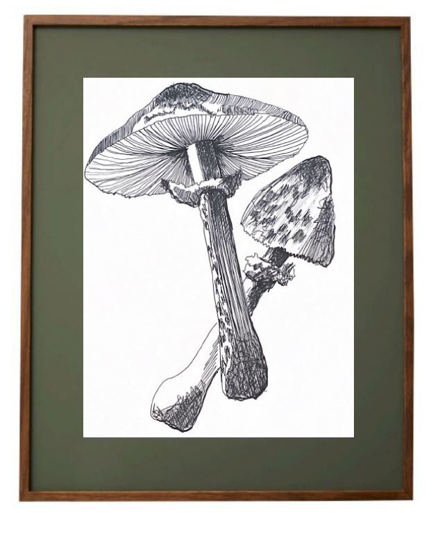 Illustration " Pick " A3