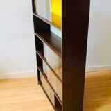 Vintage wooden showcase library 1950