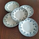 5 flat plates in St Amand "Jane" iron clay