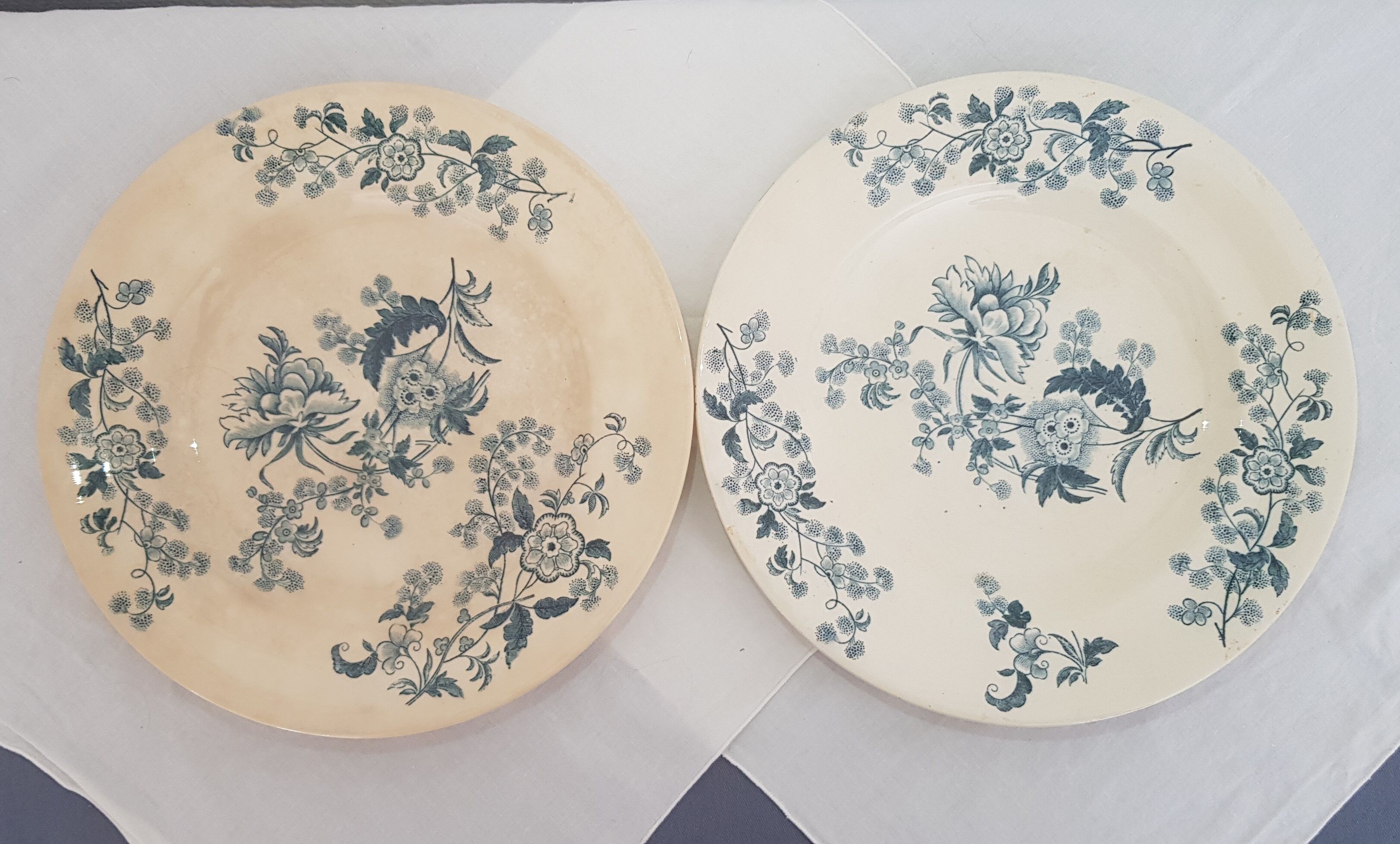 6 Longwy Ycho model flat plates in iron earthenware