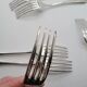 Alfenide Silver Plated Table Forks Set of 7