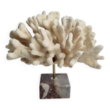 Antique White Coral on Marble Base, Height 18 cm